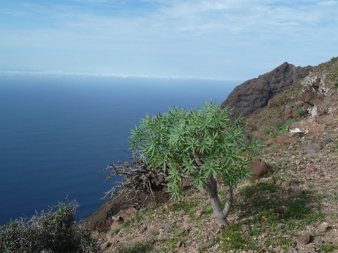 Gomera