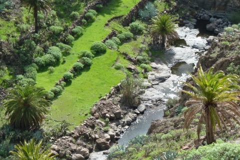 Gomera
