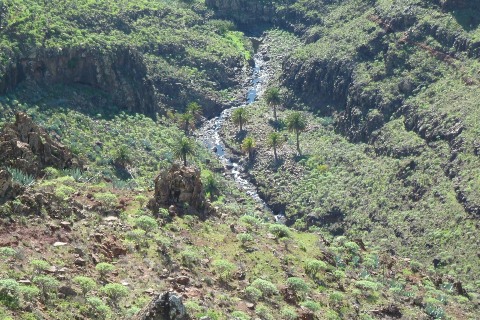 Gomera
