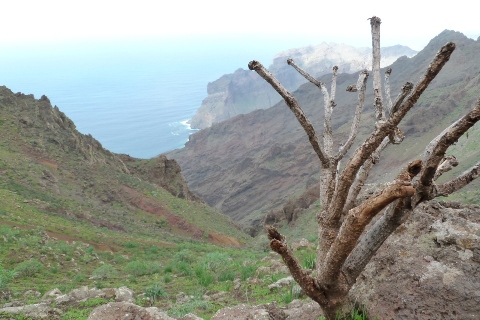 Gomera